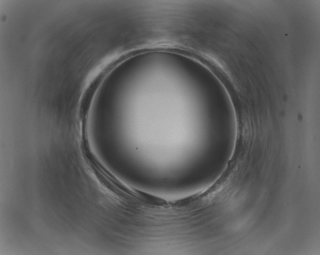 X0000062831414200601131246
