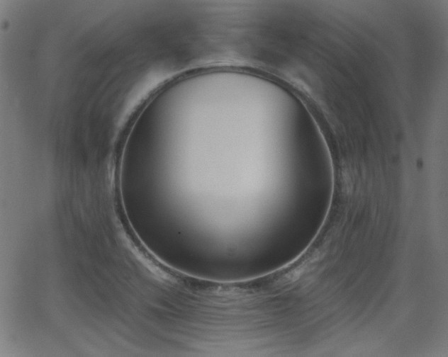X0000062831416200601131246