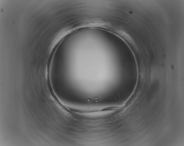 X0000062831420200601131246