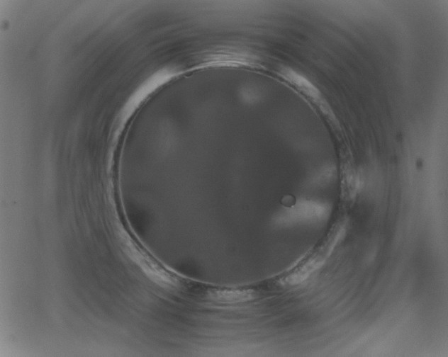X0000062831427200601131246