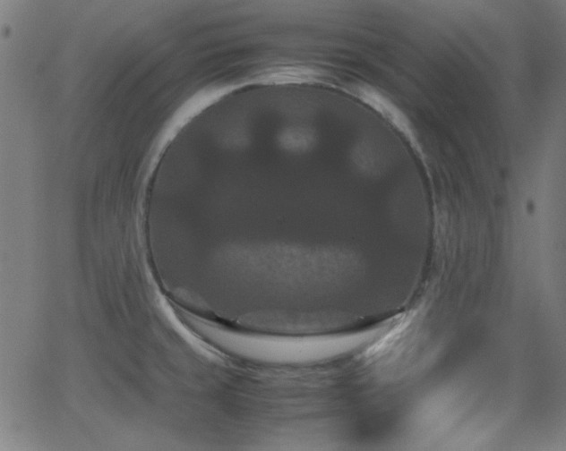 X0000062831429200601131246