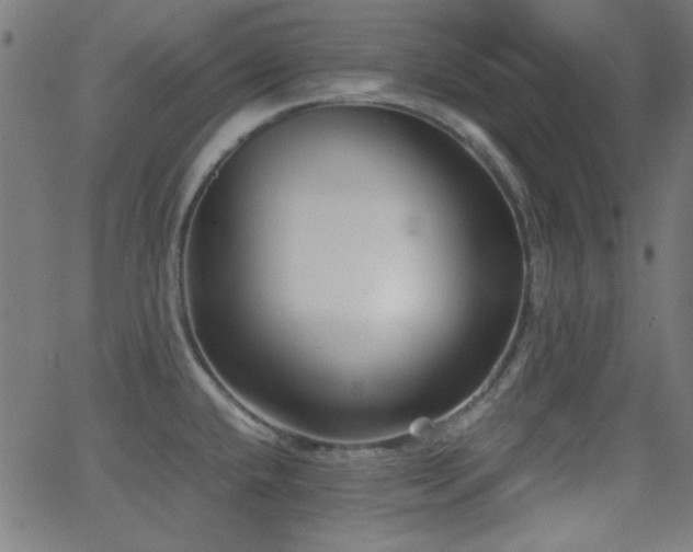 X0000062831432200601131246