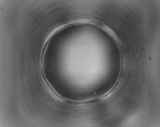 X0000062831436200601131246
