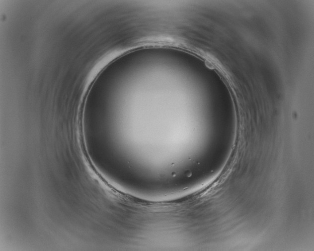 X0000062831440200601131246