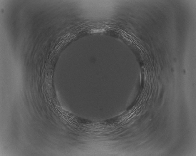 X0000062831441200601131246
