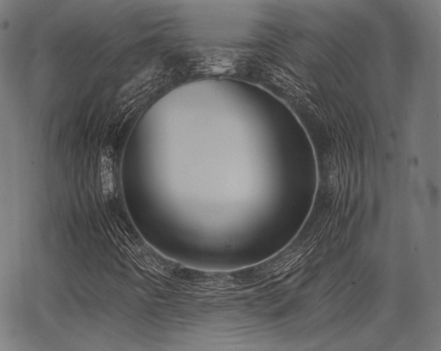 X0000062831442200601131246
