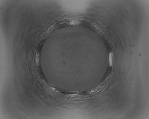 X0000062831443200601131246
