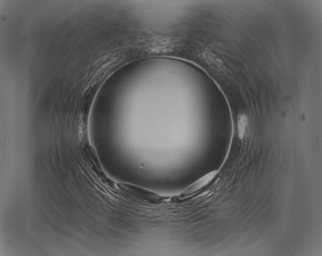 X0000062831444200601131246