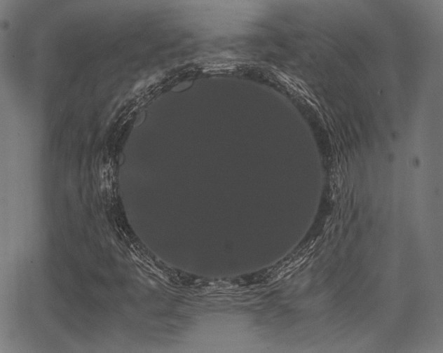 X0000062831445200601131246