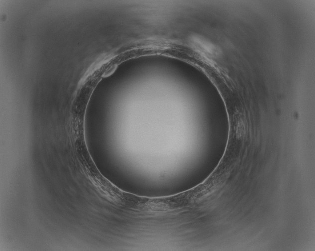 X0000062831448200601131246