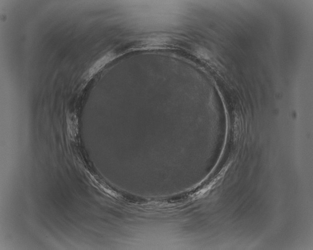 X0000062831449200601131246