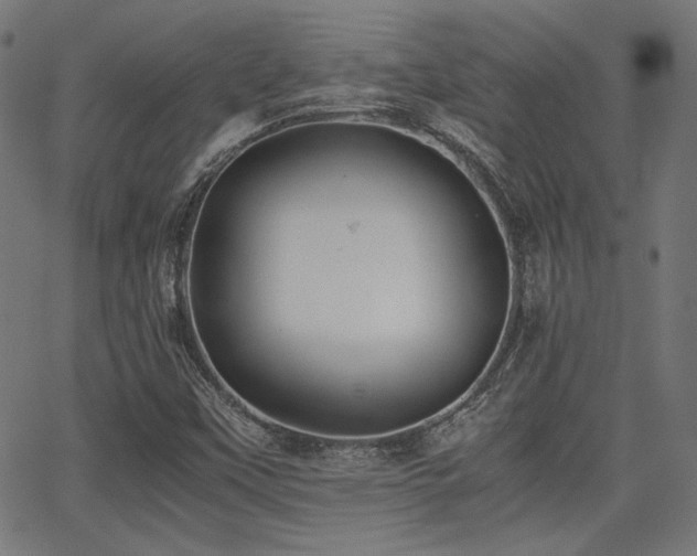 X0000062831451200601131245