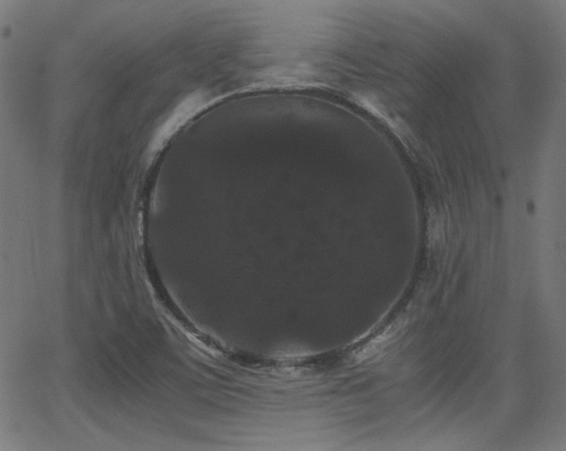 X0000062831459200601131245