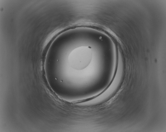X0000062831461200601131245