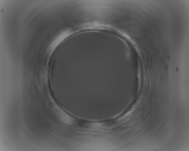 X0000062831463200601131245