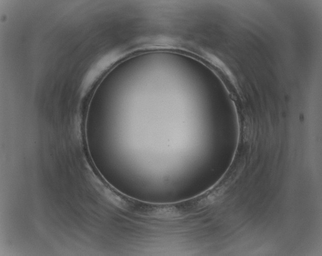X0000062831464200601131245
