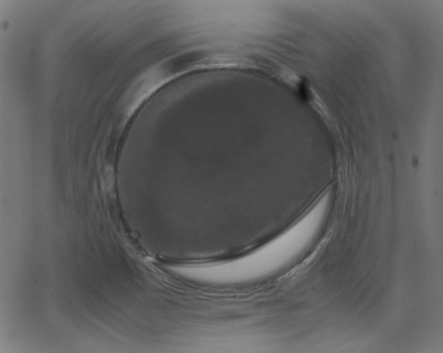 X0000062831465200601131245
