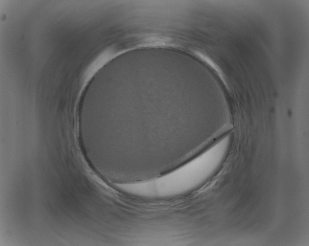 X0000062831467200601131245