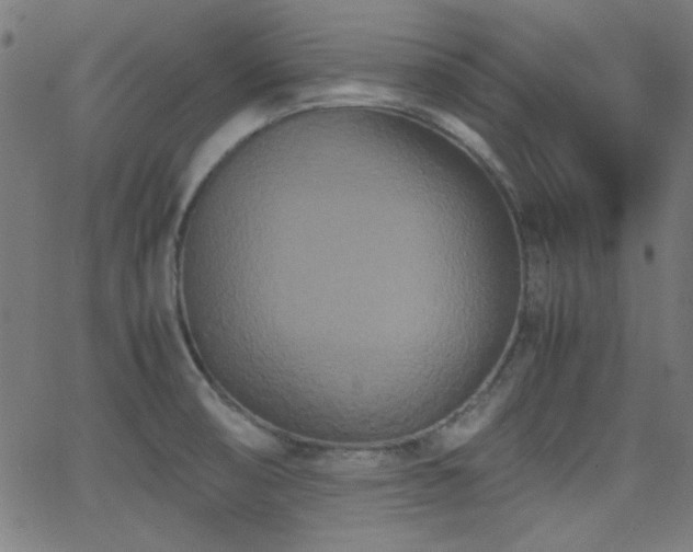 X0000062831474200601131245