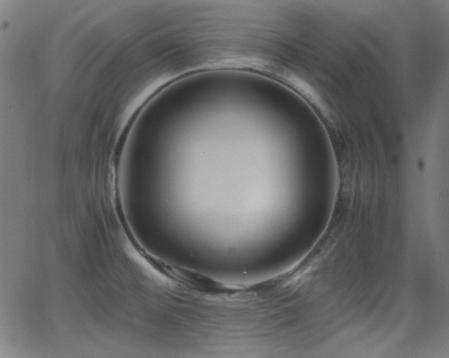 X0000062831476200601131245