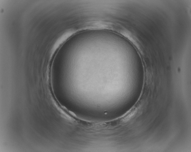 X0000062831477200601131245