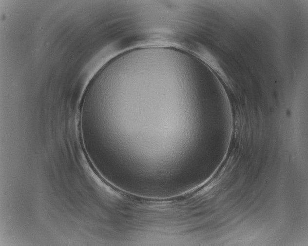 X0000062831484200601131245