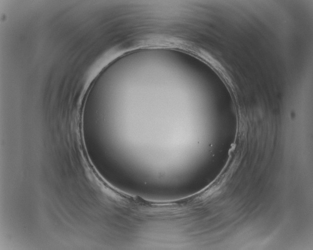 X0000062831486200601131245