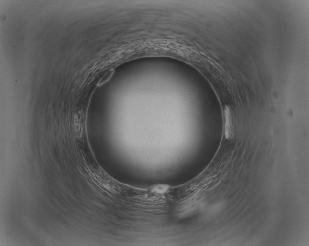 X0000062831491200601131244