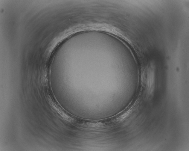 X0000062831498200601131244
