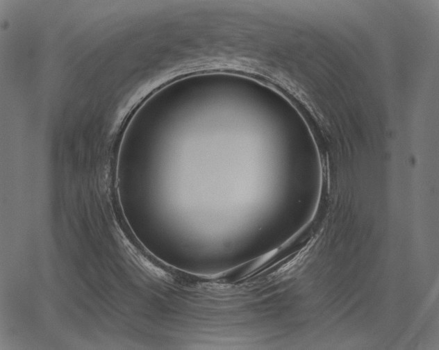 X0000062831500200601131244