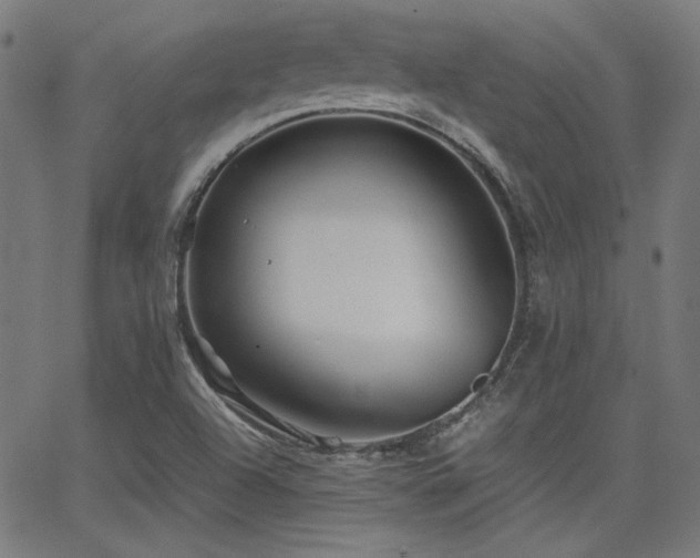 X0000062831504200601131244