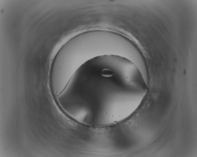 X0000062831512200601131244
