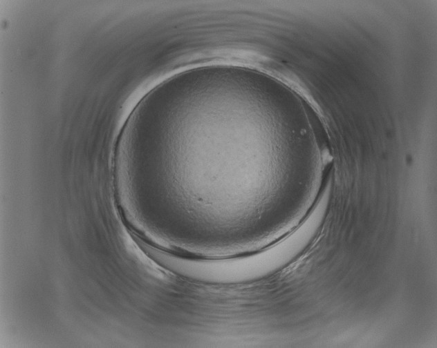 X0000062831532200601131245