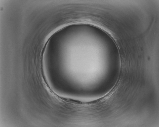 X0000062831534200601131245