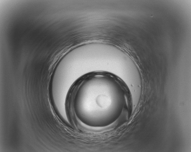 X0000062830001200601171431