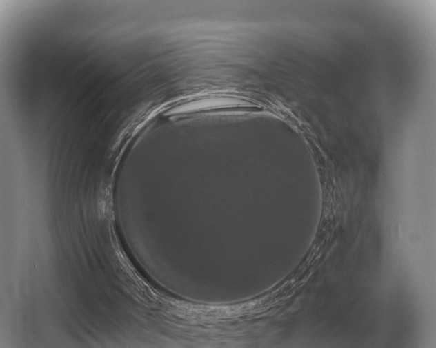 X0000062830002200601171431