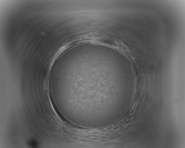 X0000062830003200601171431