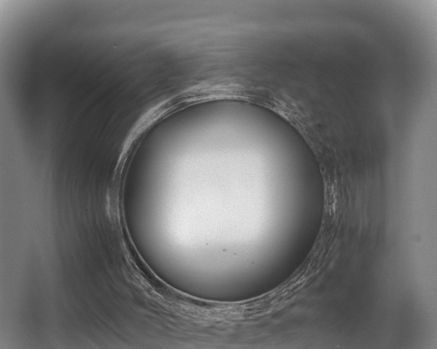 X0000062830004200601171431