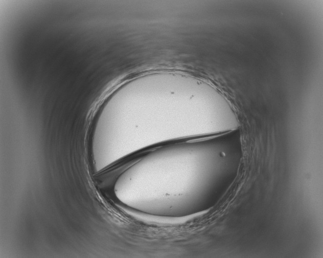 X0000062830005200601171431