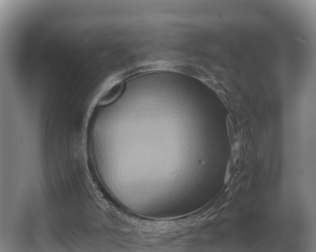 X0000062830006200601171431