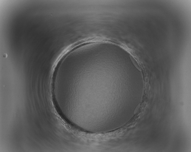 X0000062830007200601171431