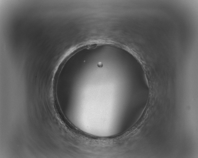 X0000062830008200601171431