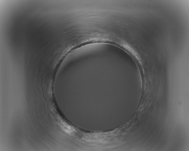 X0000062830009200601171431