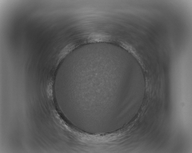 X0000062830010200601171431