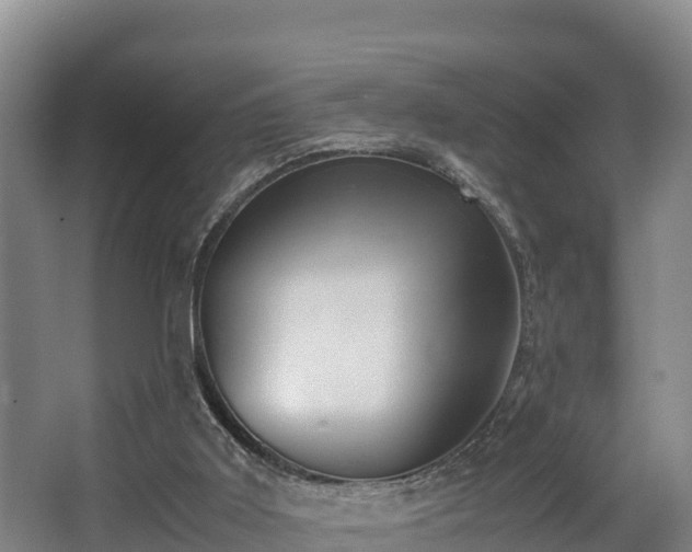 X0000062830011200601171431