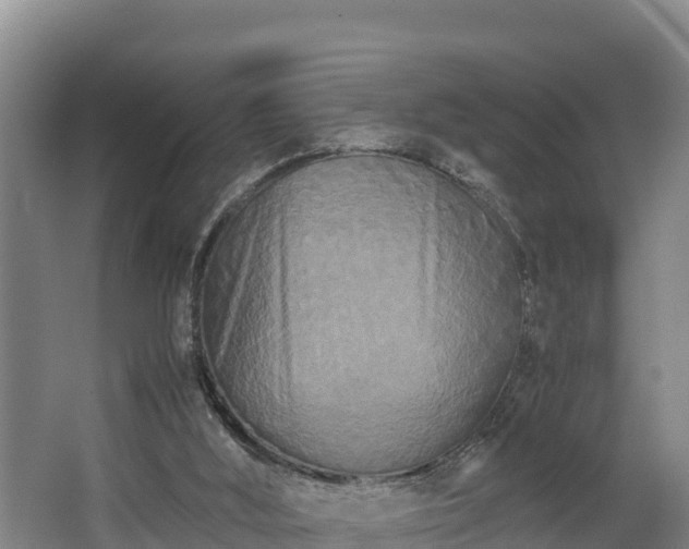 X0000062830012200601171431