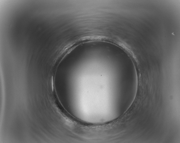 X0000062830013200601171431