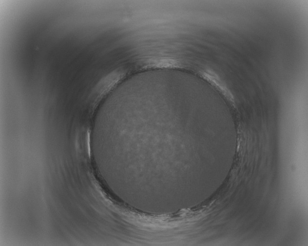 X0000062830014200601171431