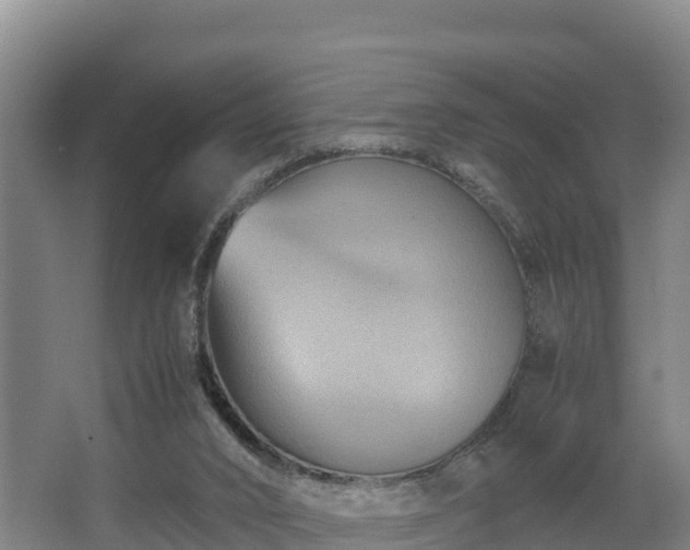 X0000062830016200601171431