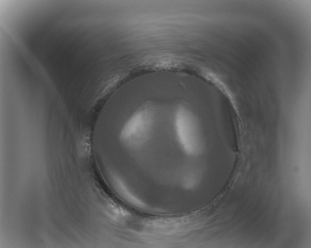 X0000062830017200601171431